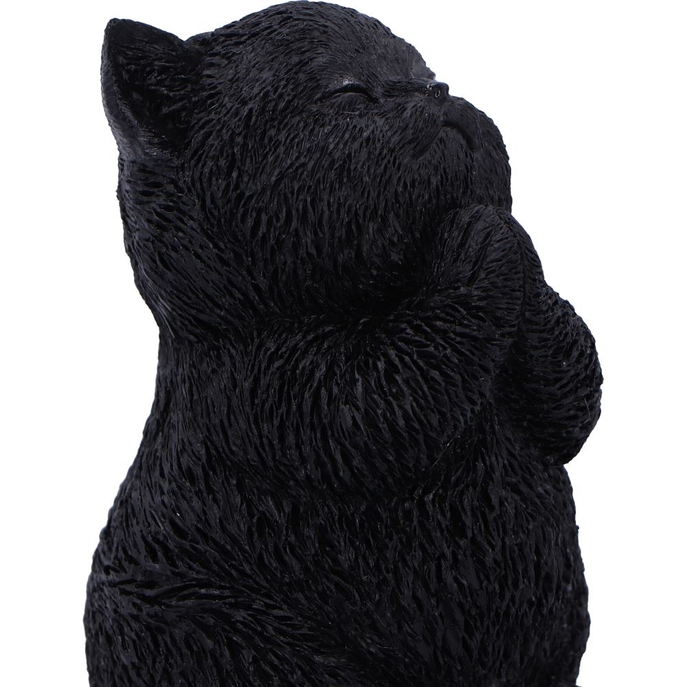 Whisker Wish Black Cat Figurine 8.5cm 6