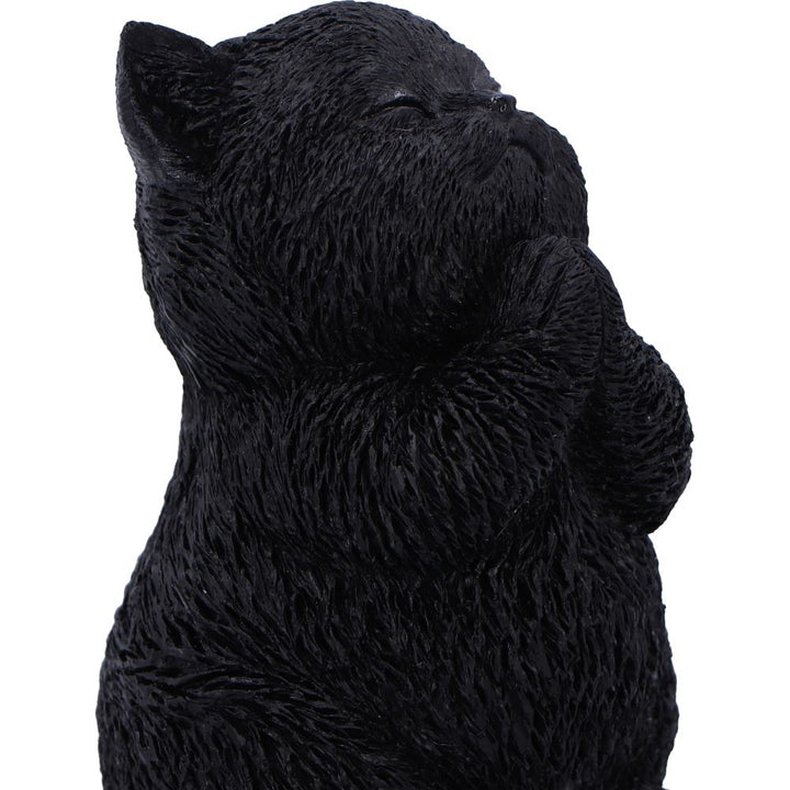 Whisker Wish Black Cat Figurine 8.5cm 6