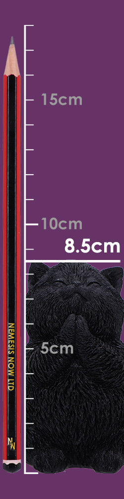 Whisker Wish Black Cat Figurine 8.5cm 8