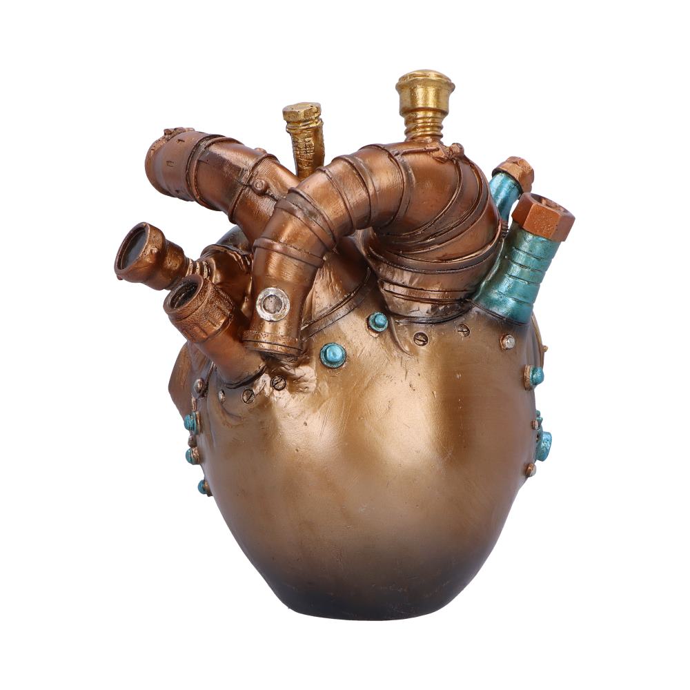 Cardiac Cranium Steampunk Skull 17.5cm 3