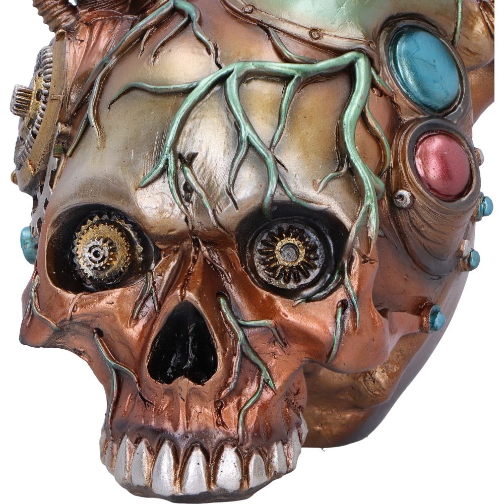 Cardiac Cranium Steampunk Skull 17.5cm 5