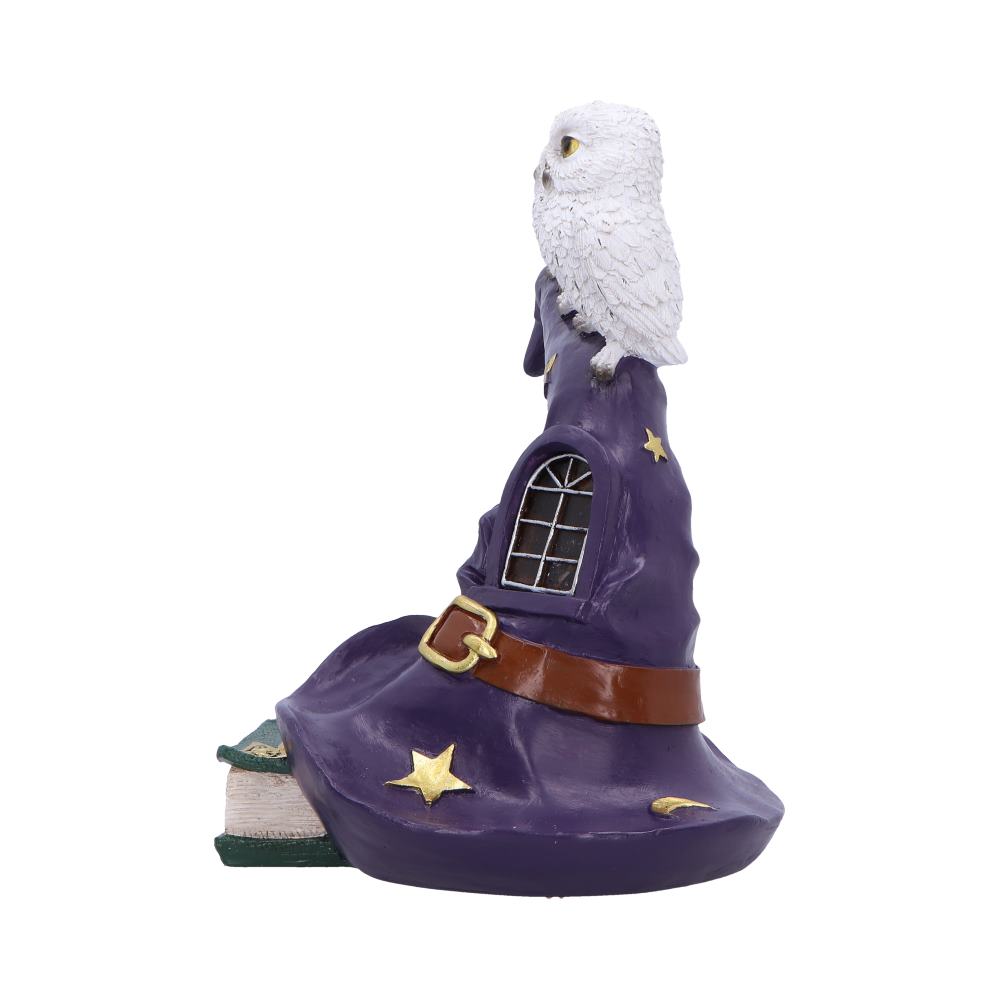 The Witching Perch Owl Witch LED Hat Sculpture 18.5cm 2