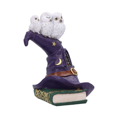 The Witching Perch Owl Witch LED Hat Sculpture 18.5cm 4
