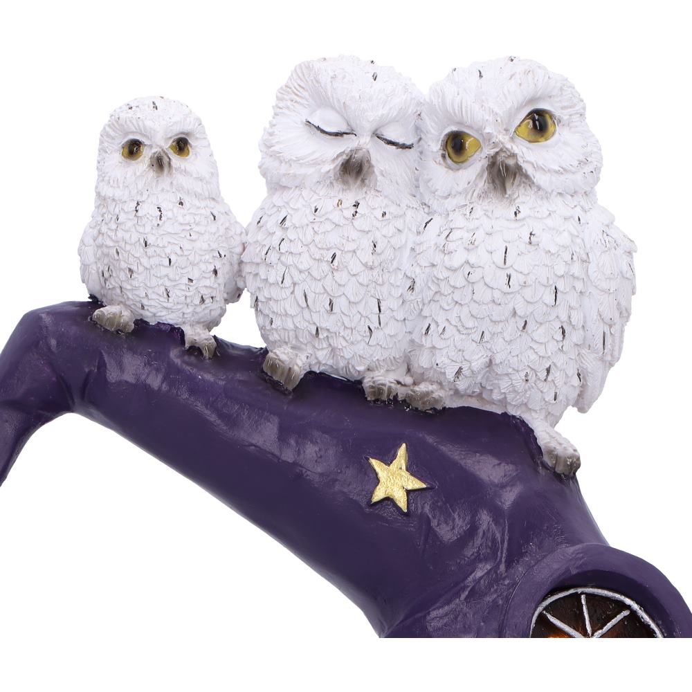 The Witching Perch Owl Witch LED Hat Sculpture 18.5cm 5