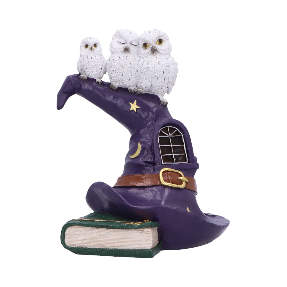 The Witching Perch Owl Witch LED Hat Sculpture 18.5cm 1