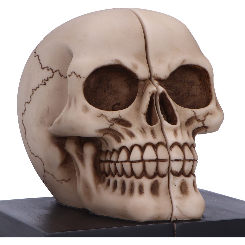 Final Chapter Bookends Skull 13.5cm 5