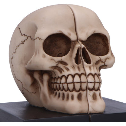 Final Chapter Bookends Skull 13.5cm 5