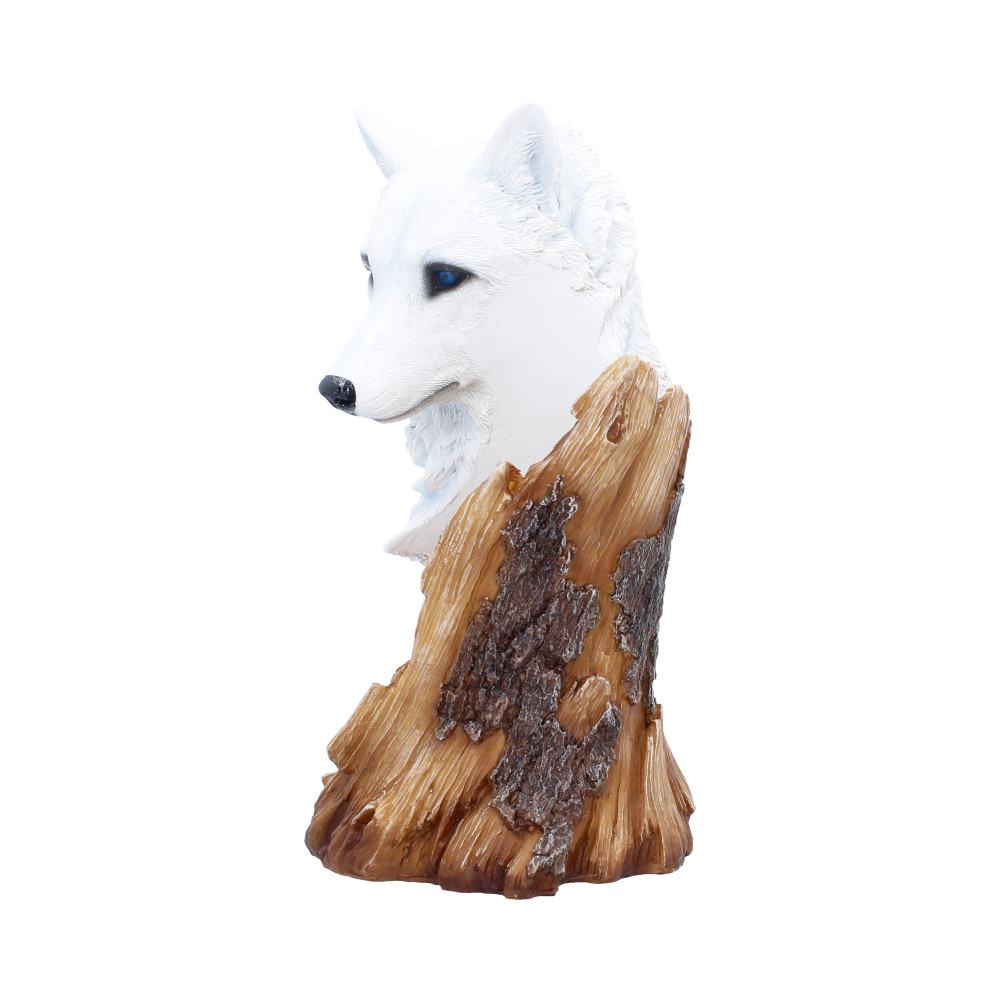 Pour of the Wild Wine Bottle Holder 26cm 2