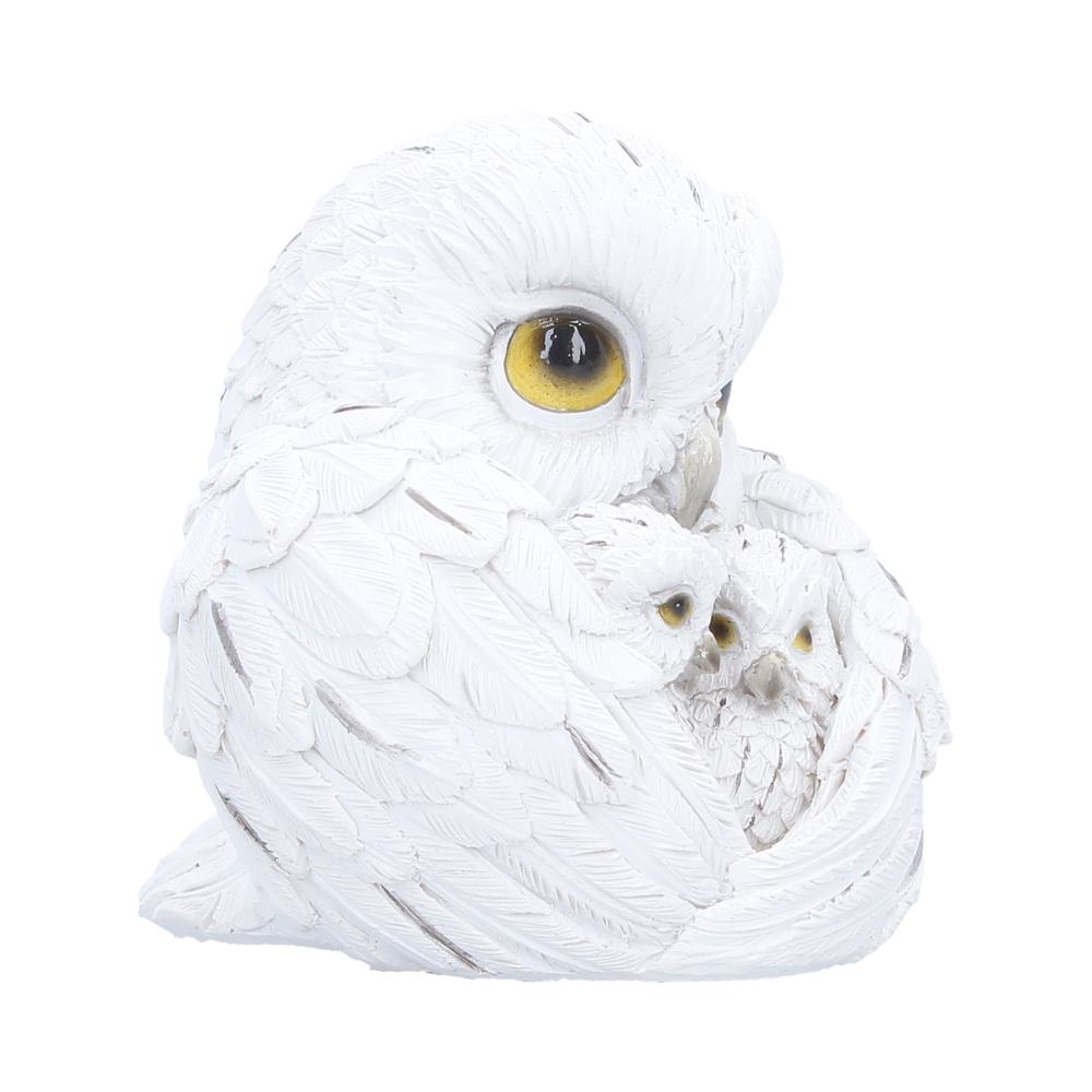 Feathered Nest Owl Figurine 10.7cm 3