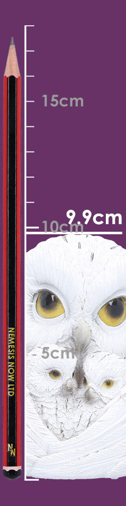 Feathered Nest Owl Figurine 10.7cm 8