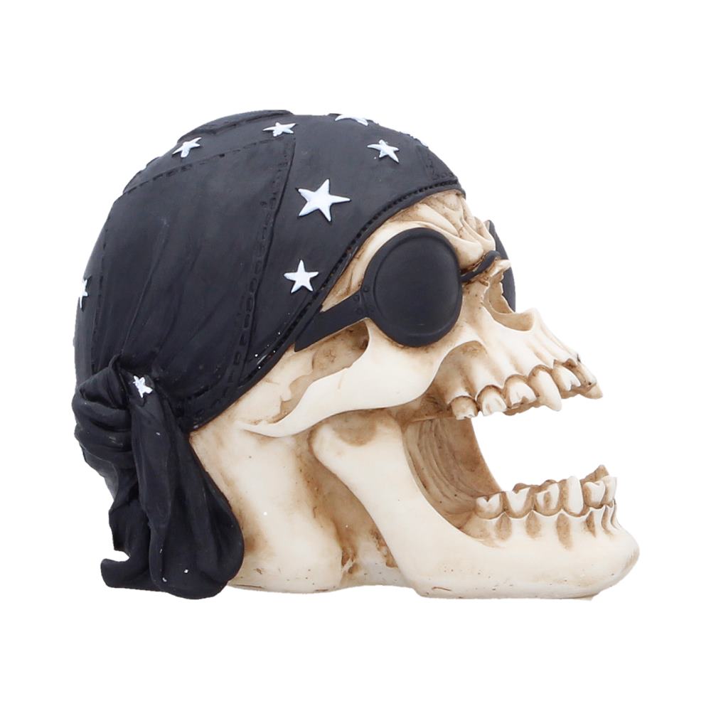 Skull Throttle Gothic Figurine 7.9cm 4