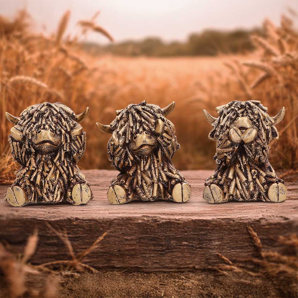 Three Wise Gold Highland Cows 7.5cm 7
