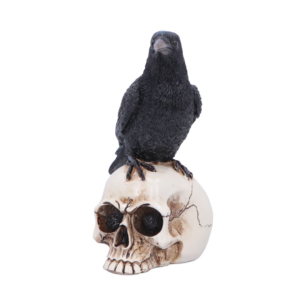 Nevermore Vigil Raven Standing on Skull Figurine 19.5cm 2