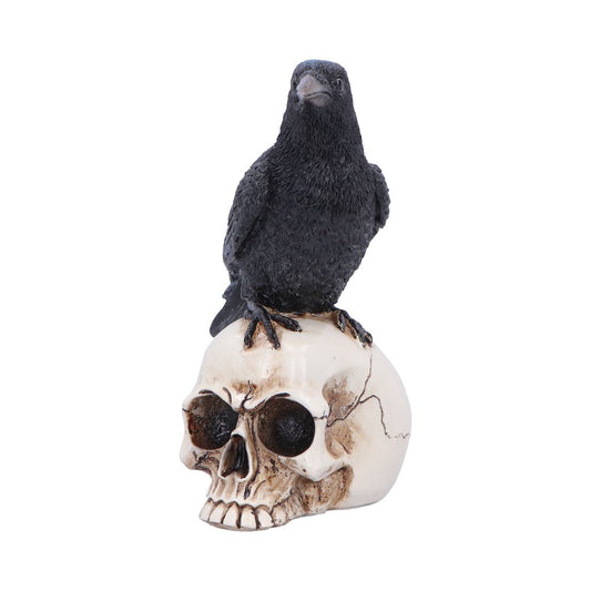 Nevermore Vigil Raven Standing on Skull Figurine 19.5cm 2