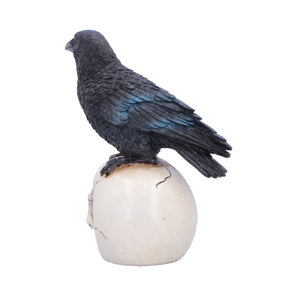 Nevermore Vigil Raven Standing on Skull Figurine 19.5cm 3