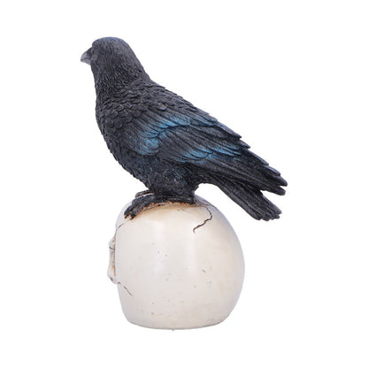 Nevermore Vigil Raven Standing on Skull Figurine 19.5cm 3