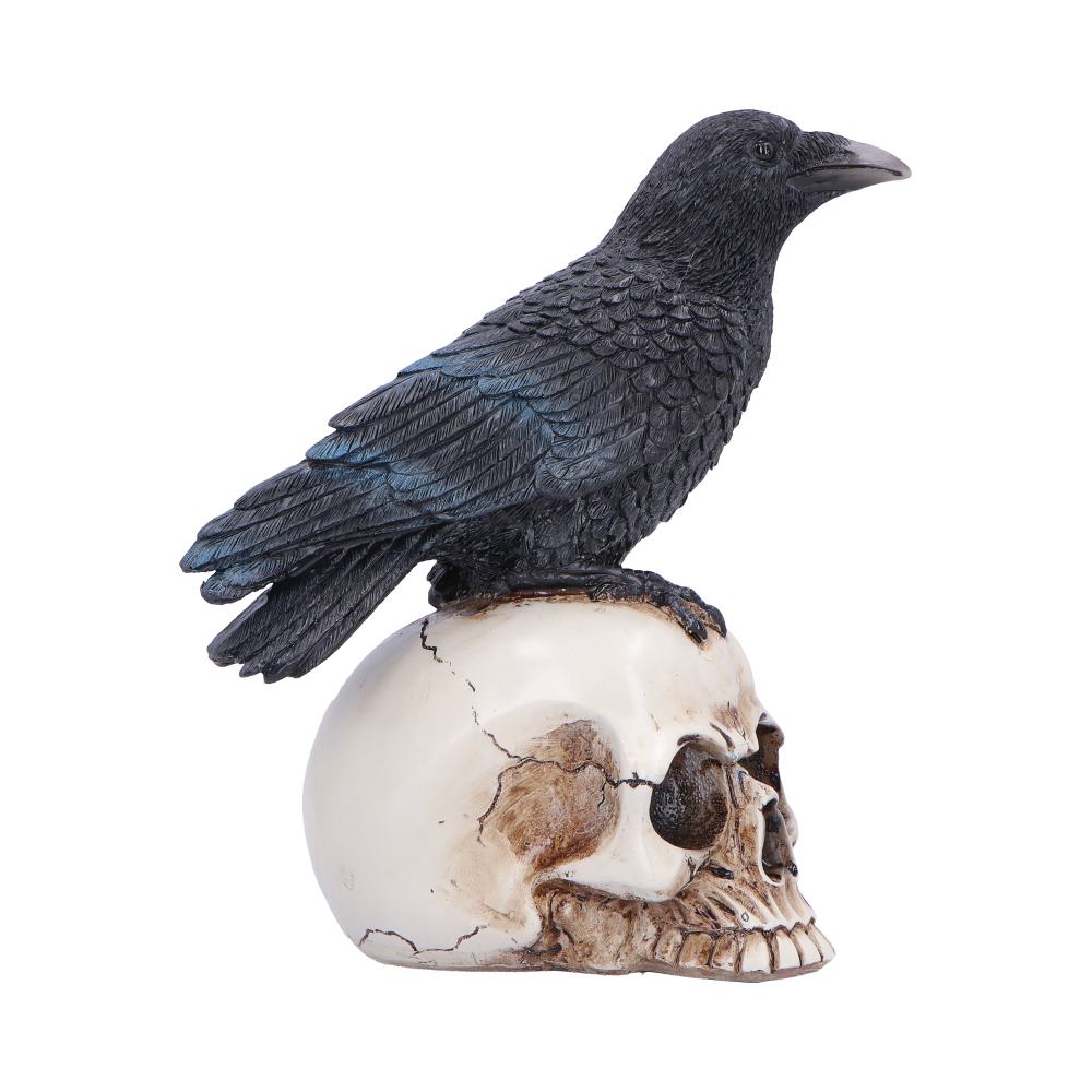 Nevermore Vigil Raven Standing on Skull Figurine 19.5cm 4
