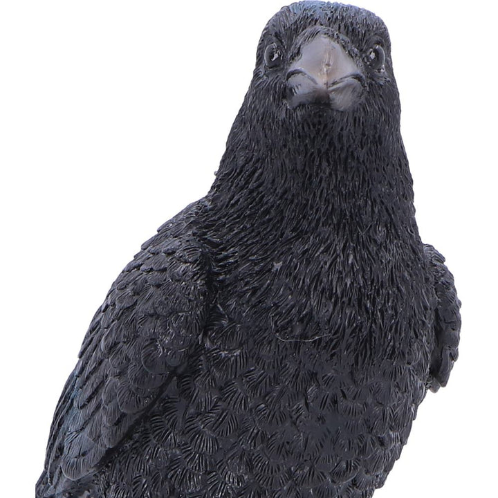 Nevermore Vigil Raven Standing on Skull Figurine 19.5cm