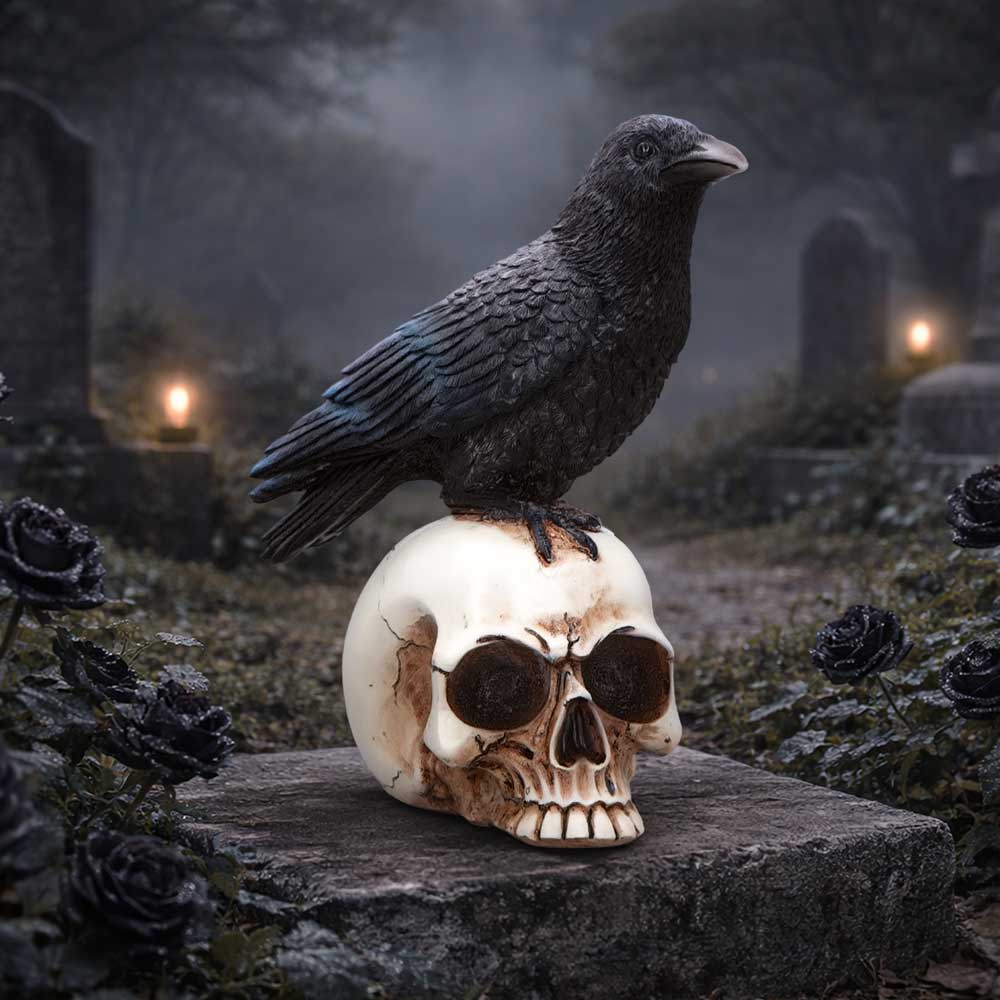 Nevermore Vigil Raven Standing on Skull Figurine 19.5cm 7