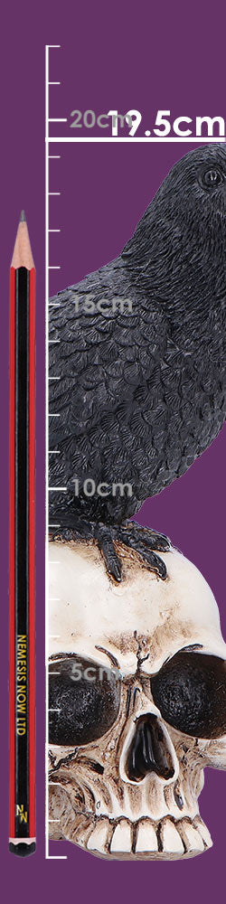 Nevermore Vigil Raven Standing on Skull Figurine 19.5cm 8