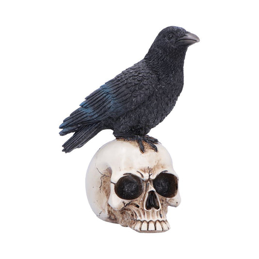 Nevermore Vigil Raven Standing on Skull Figurine 19.5cm 1