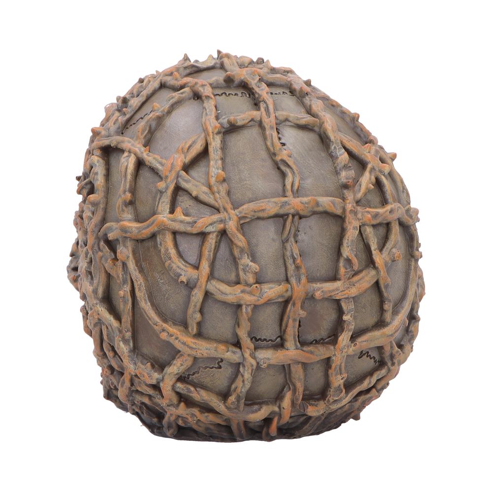 Rooted Vine Skull LED Figurine 15.8cm 4