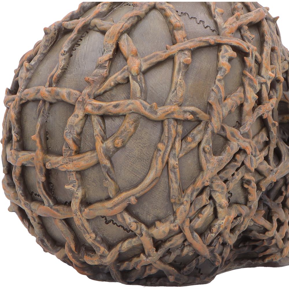 Rooted Vine Skull LED Figurine 15.8cm 6