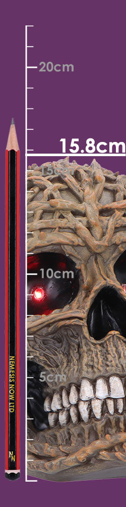 Rooted Vine Skull LED Figurine 15.8cm 8