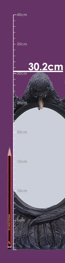 Nevermore Reflection Raven Standing or Wall Hanging Mirror 30.2cm 6